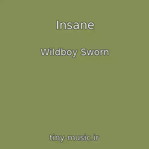 کاور آهنگ Insane از Wildboy Sworn
