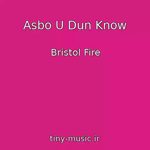 کاور آهنگ Asbo U Dun Know از Bristol Fire