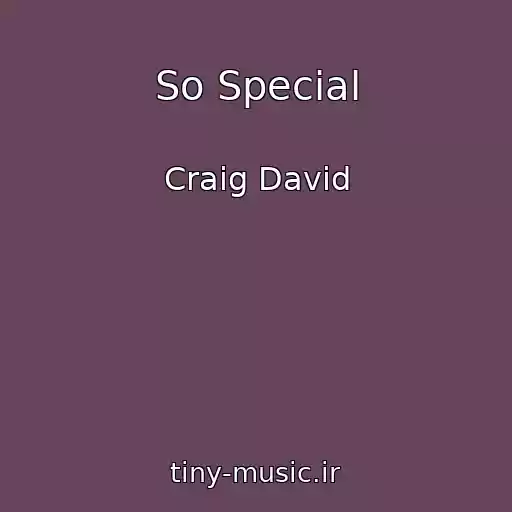 کاور آهنگ So Special از Craig David