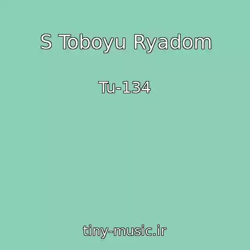 کاور آهنگ S Toboyu Ryadom از Tu-134