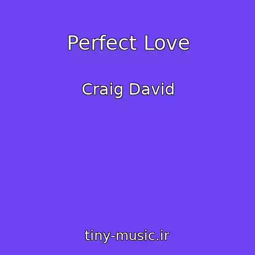 کاور آهنگ Perfect Love از Craig David