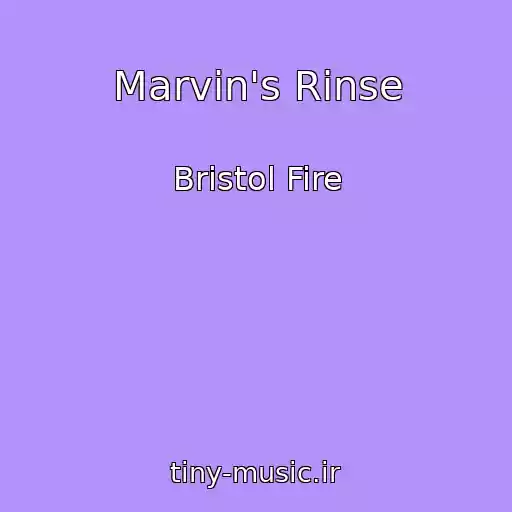 کاور آهنگ Marvin's Rinse از Bristol Fire