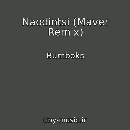 کاور آهنگ Naodintsі (Maver Remix) از Bumboks