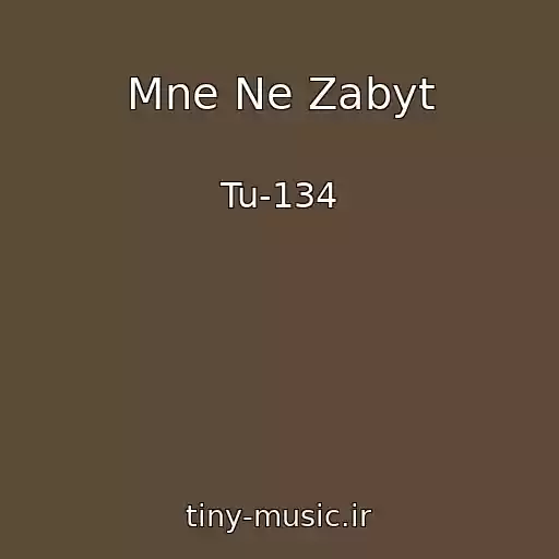 کاور آهنگ Mne Ne Zabyt از Tu-134