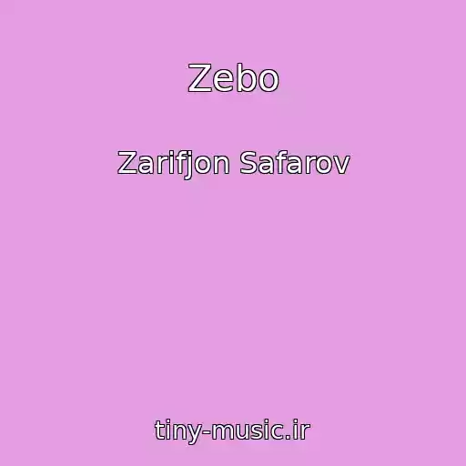 کاور آهنگ Zebo از Zarifjon Safarov
