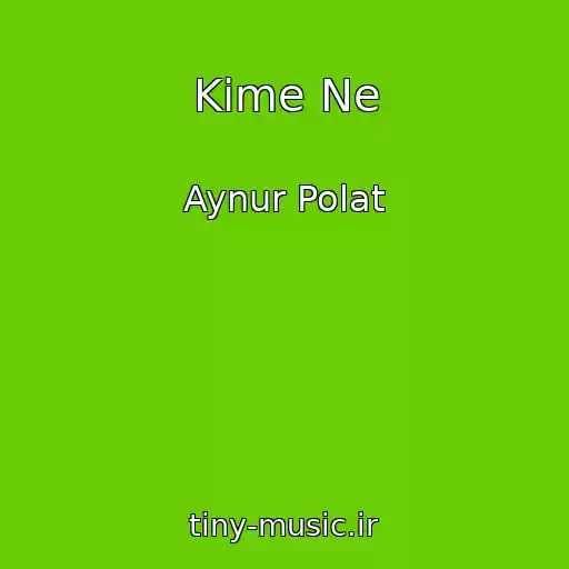 کاور آهنگ Kime Ne از Aynur Polat
