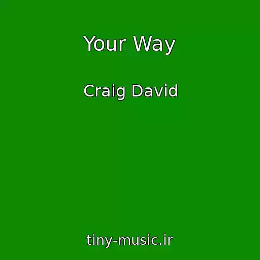 کاور آهنگ Your Way از Craig David