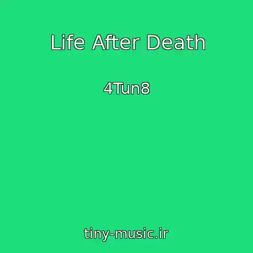 کاور آهنگ Life After Death از 4Tun8