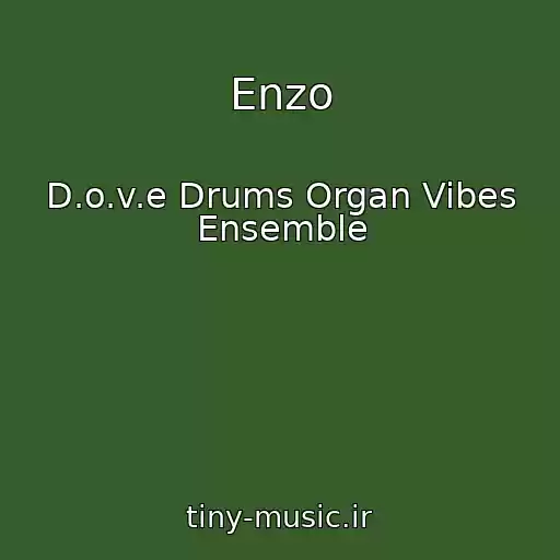 کاور آهنگ Enzo از D.o.v.e Drums Organ Vibes Ensemble