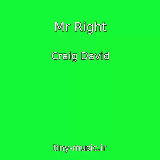 کاور آهنگ Mr Right از Craig David