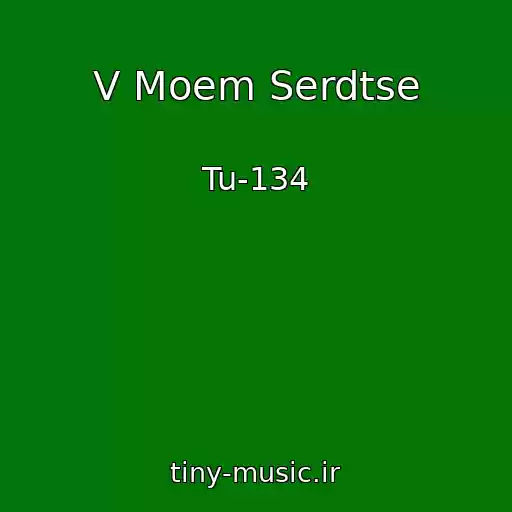 کاور آهنگ V Moem Serdtse از Tu-134