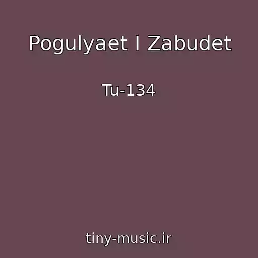 کاور آهنگ Pogulyaet I Zabudet از Tu-134