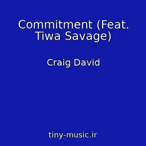 کاور آهنگ Commitment (Feat. Tiwa Savage) از Craig David