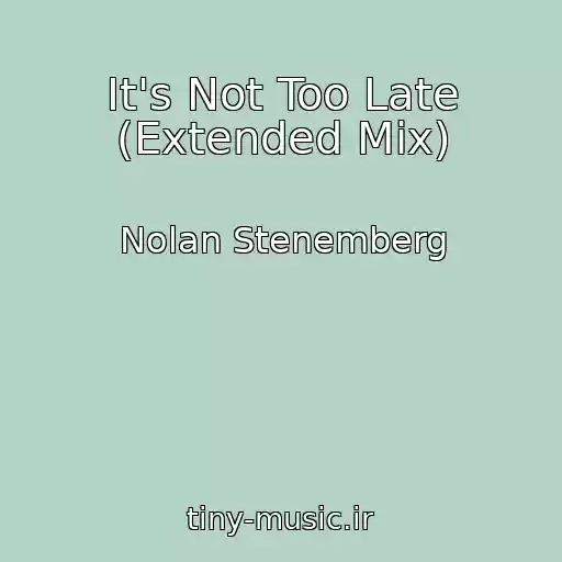 کاور آهنگ It's Not Too Late (Extended Mix) از Nolan Stenemberg