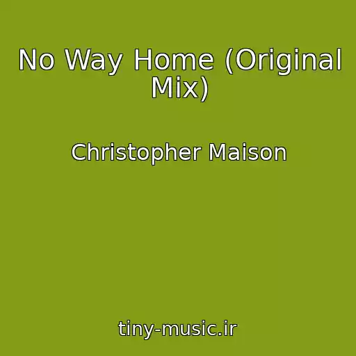 کاور آهنگ No Way Home (Original Mix) از Christopher Maison