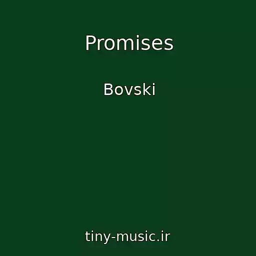 کاور آهنگ Promises از Bovski
