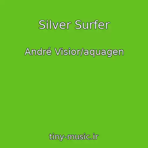 کاور آهنگ Silver Surfer از André Visior/aquagen
