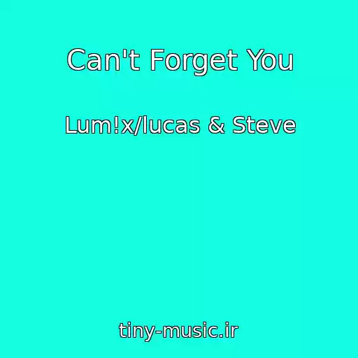 کاور آهنگ Can't Forget You از Lum!x/lucas & Steve