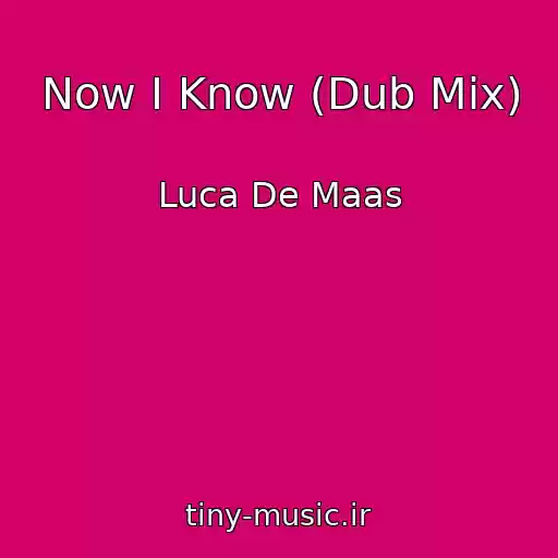 کاور آهنگ Now I Know (Dub Mix) از Luca De Maas