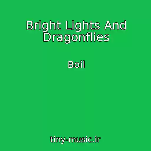 کاور آهنگ Bright Lights And Dragonflies از Boil