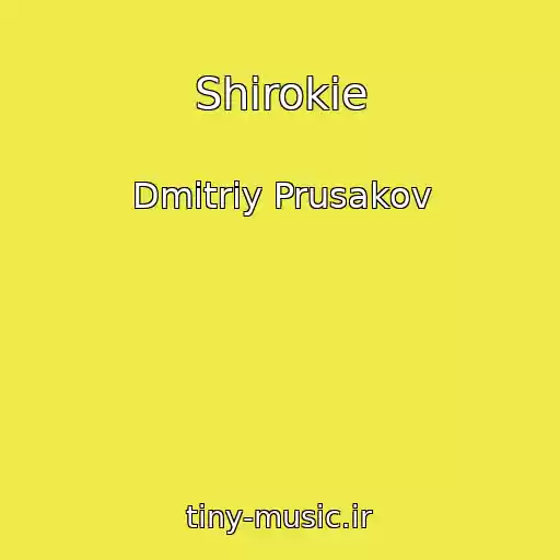 کاور آهنگ Shirokie از Dmitriy Prusakov