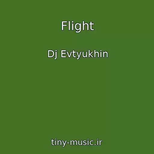 کاور آهنگ Flight از Dj Evtyukhin