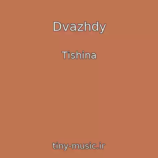 کاور آهنگ Dvazhdy از Tishina