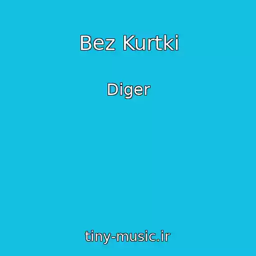 کاور آهنگ Bez Kurtki از Diger