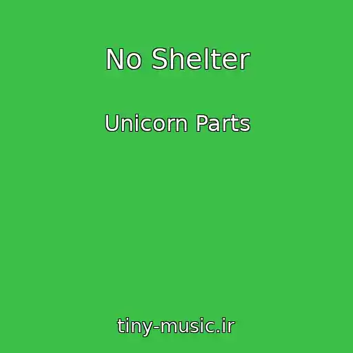 کاور آهنگ No Shelter از Unicorn Parts