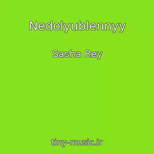 کاور آهنگ Nedolyublennyy از Sasha Rey