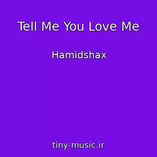 کاور آهنگ Tell Me You Love Me از Hamidshax