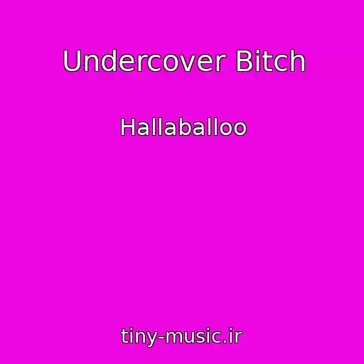 کاور آهنگ Undercover Bitch از Hallaballoo