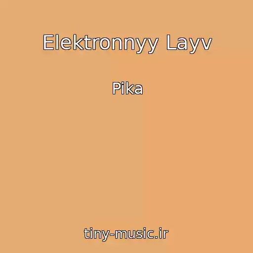 کاور آهنگ Elektronnyy Layv از Pika