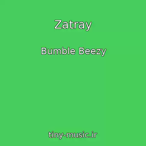 کاور آهنگ Zatray از Bumble Beezy