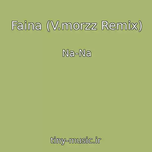کاور آهنگ Faina (V.morzz Remix) از Na-Na