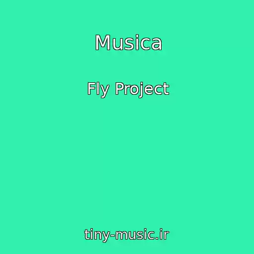 کاور آهنگ Musica از Fly Project