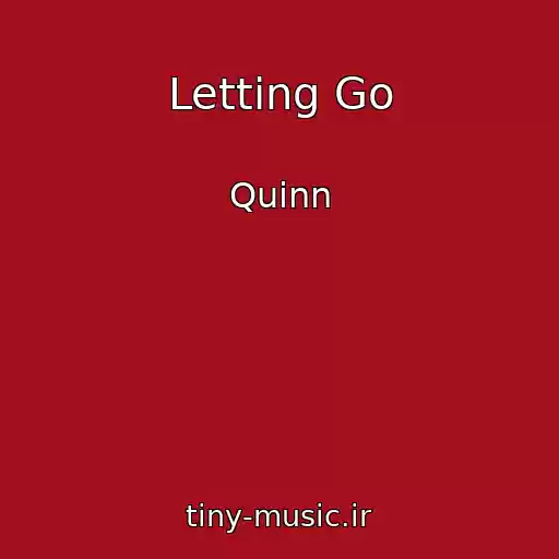 کاور آهنگ Letting Go از Quinn