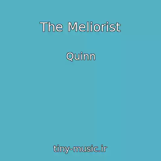 کاور آهنگ The Meliorist از Quinn