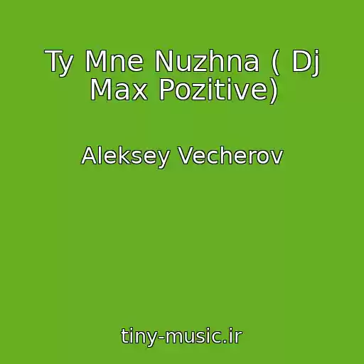 کاور آهنگ Ty Mne Nuzhna ( Dj Max Pozitive) از Aleksey Vecherov