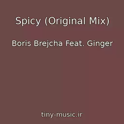 کاور آهنگ Spicy (Original Mix) از Boris Brejcha Feat. Ginger
