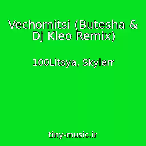 کاور آهنگ Vechornitsі (Butesha & Dj Kleo Remix) از 100Litsya, Skylerr
