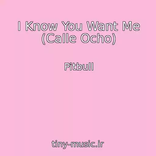 کاور آهنگ I Know You Want Me (Calle Ocho) از Pitbull
