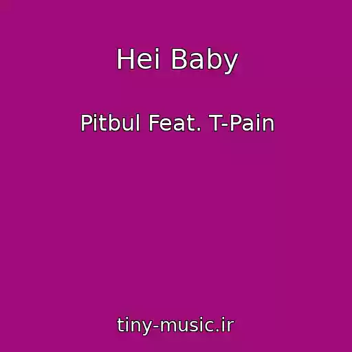 کاور آهنگ Hei Baby از Pitbul Feat. T-Pain