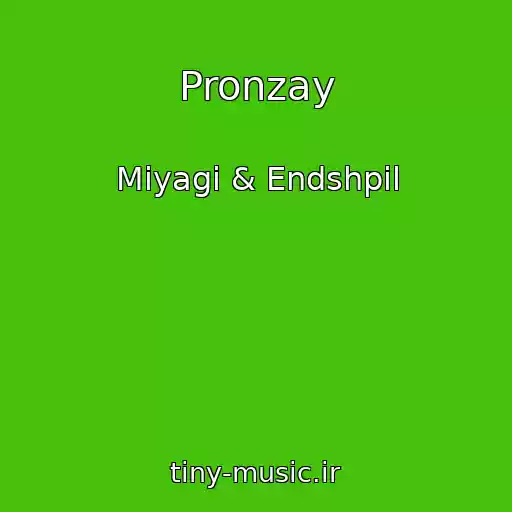کاور آهنگ Pronzay از Miyagi & Endshpil