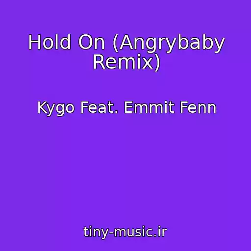 کاور آهنگ Hold On (Angrybaby Remix) از Kygo Feat. Emmit Fenn