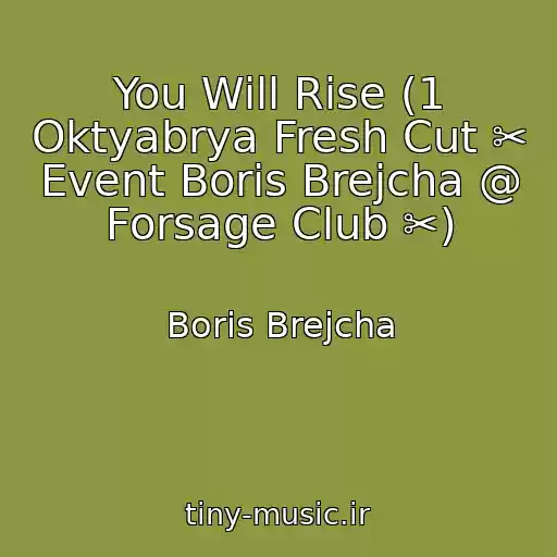 کاور آهنگ You Will Rise (1 Oktyabrya Fresh Cut ✂ Event Boris Brejcha @ Forsage Club ✂) از Boris Brejcha