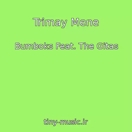 کاور آهنگ Trimay Mene از Bumboks Feat. The Gitas