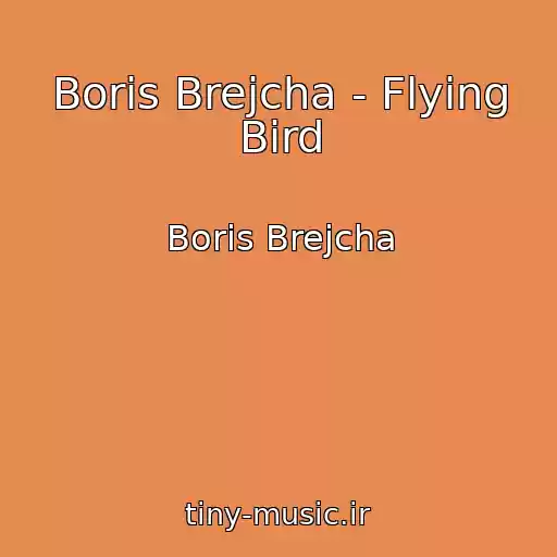 کاور آهنگ Boris Brejcha - Flying Bird از Boris Brejcha
