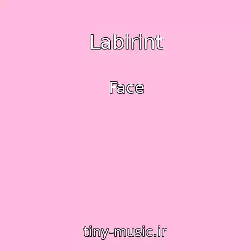 کاور آهنگ Labirint از Face
