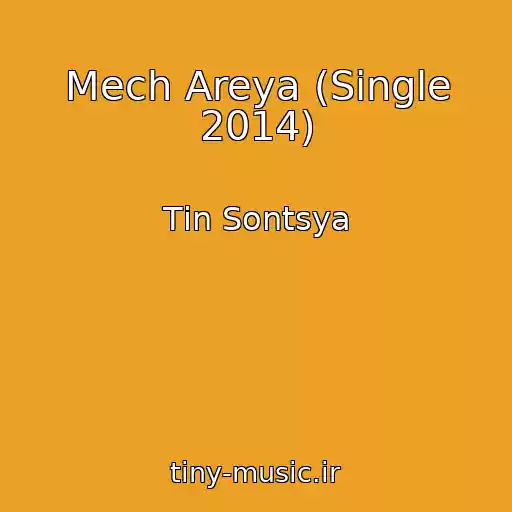 کاور آهنگ Mech Areya (Single 2014) از Tіn Sontsya